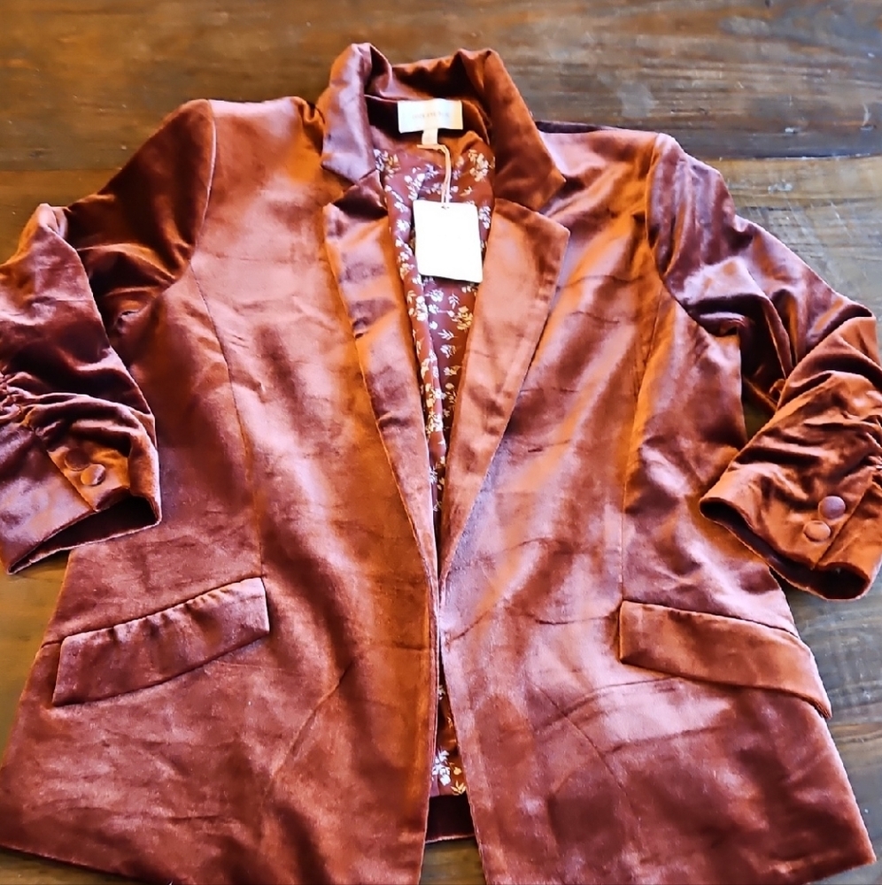 Skies Are Blue Rich Velvet Blazer in Warm Brown